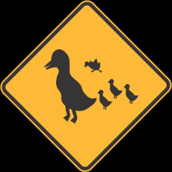 duck crossing Thumbnail