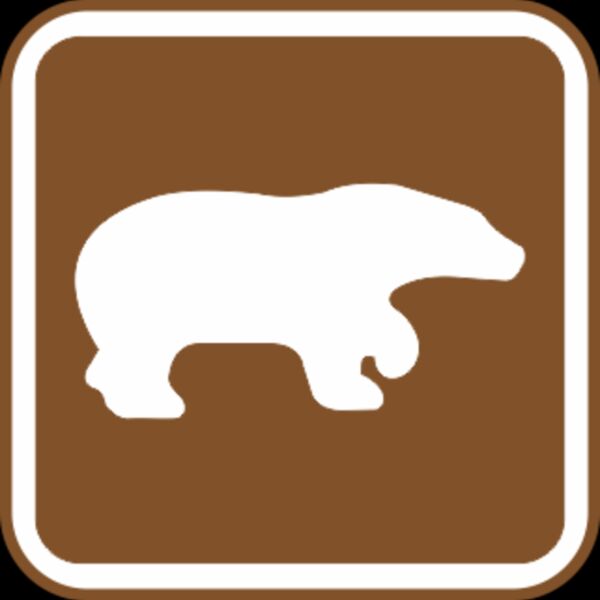 bear Thumbnail