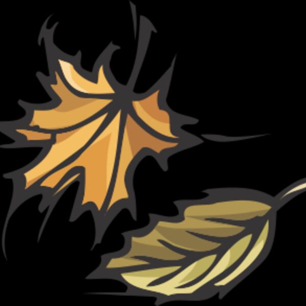 fall leaves Thumbnail