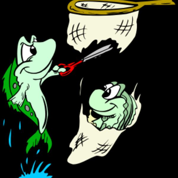 fish in net NOT Thumbnail