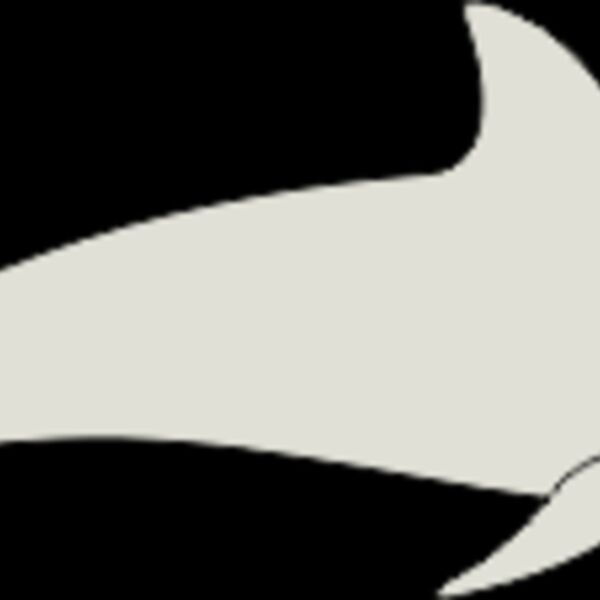 dolphin Thumbnail