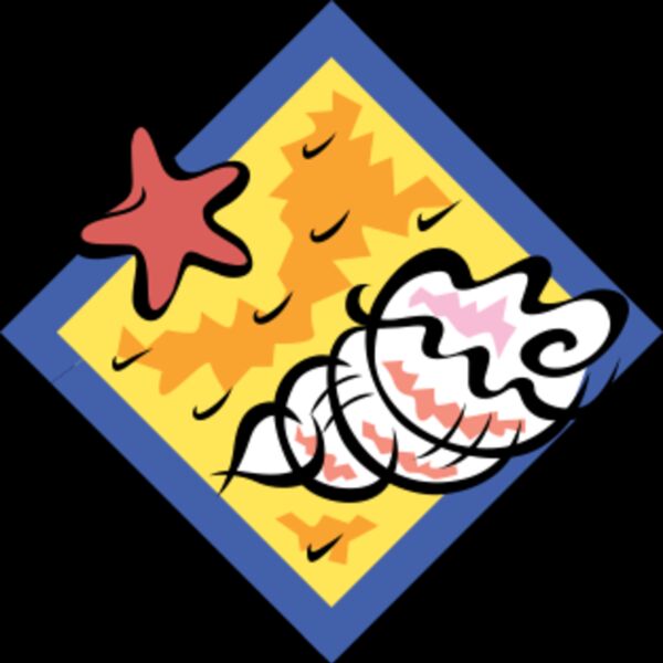 shell on beach Thumbnail