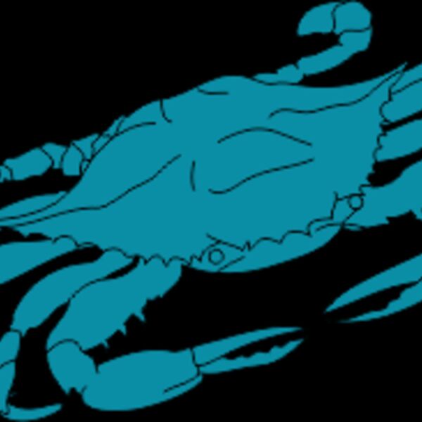 crab Thumbnail