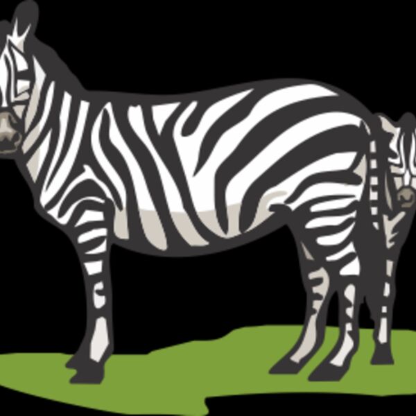 zebras Thumbnail