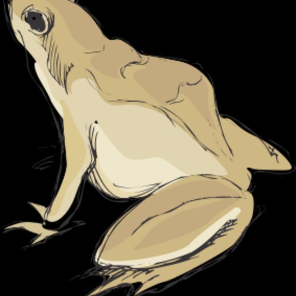 frog Thumbnail