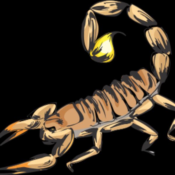 scorpion Thumbnail