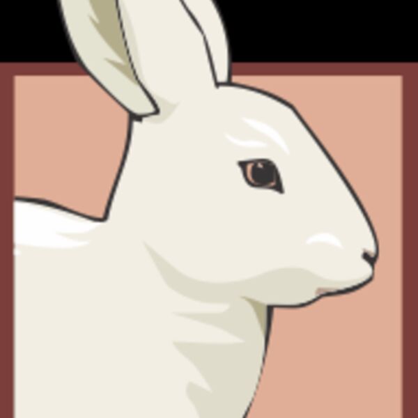 bunny Thumbnail