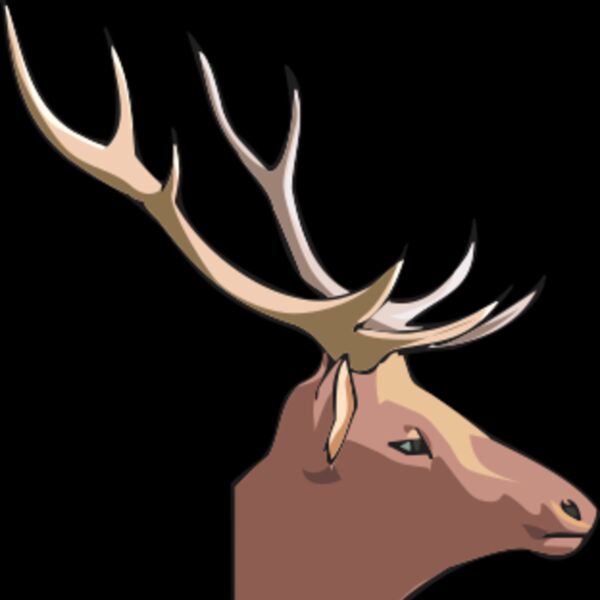 moose Thumbnail
