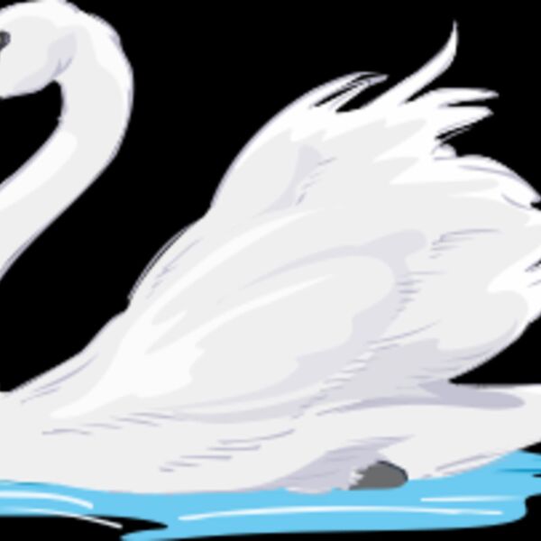 swan Thumbnail