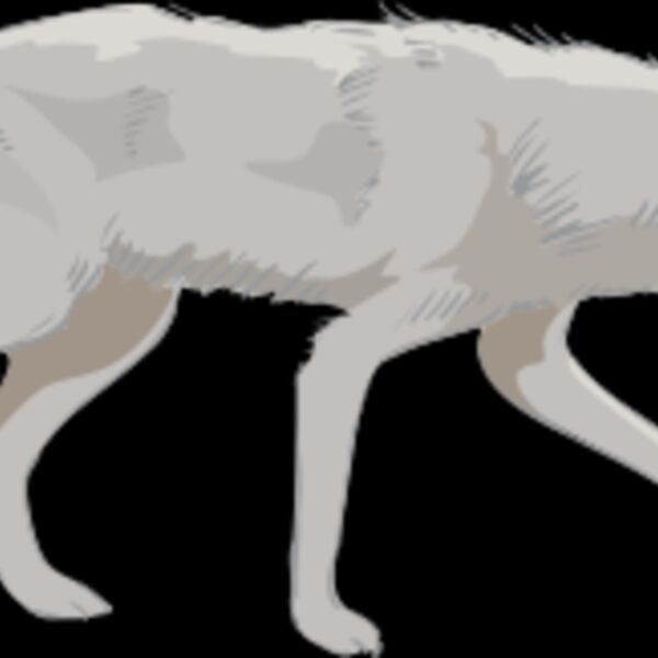 wolf Thumbnail