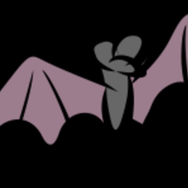 bat Thumbnail