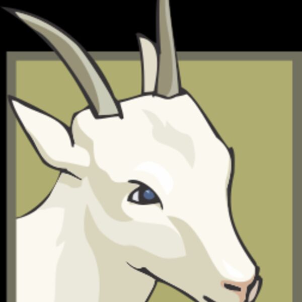 goat Thumbnail