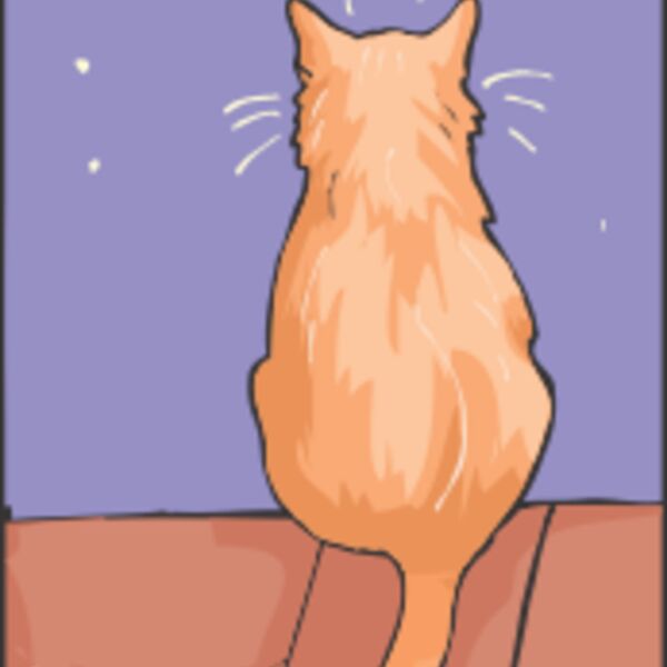 cat on roof moon Thumbnail