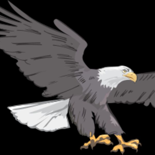 eagle Thumbnail