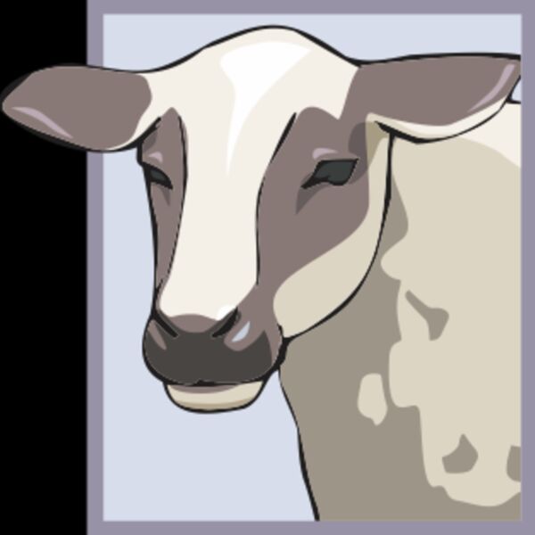 cow Thumbnail