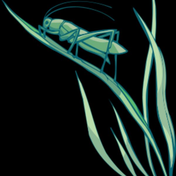 grasshopper Thumbnail