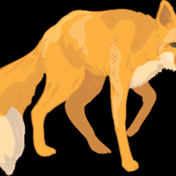 fox Thumbnail
