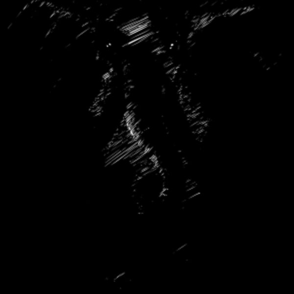 elephant african Thumbnail