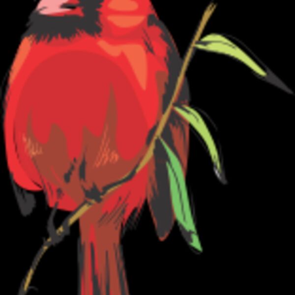 cardinal Thumbnail