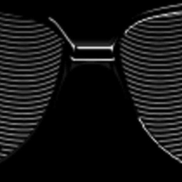 sunglasses and palms Thumbnail