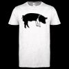 Softstyle Women's ringspun t-shirt ™ Thumbnail