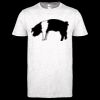 Softstyle Women's ringspun t-shirt ™ Thumbnail