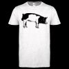 Softstyle Women's ringspun t-shirt ™ Thumbnail