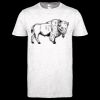 Softstyle Women's ringspun t-shirt ™ Thumbnail