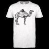 Softstyle Women's ringspun t-shirt ™ Thumbnail