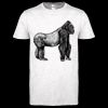 Softstyle Women's ringspun t-shirt ™ Thumbnail