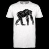 Softstyle Women's ringspun t-shirt ™ Thumbnail