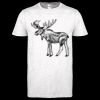 Softstyle Women's ringspun t-shirt ™ Thumbnail