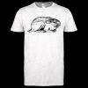 Softstyle Women's ringspun t-shirt ™ Thumbnail