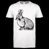 Softstyle Women's ringspun t-shirt ™ Thumbnail