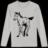 Softstyle Long Sleeve T-Shirt Thumbnail